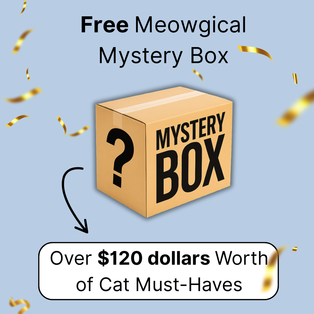 Mystery Box [One Time offer]