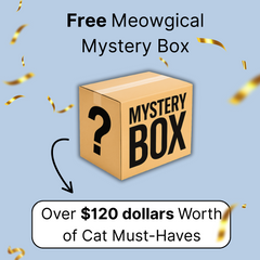Mystery Box [One Time offer]