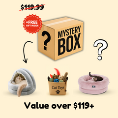 Add a “Mystery Cat Box” to Your Order [One-Time Offer]